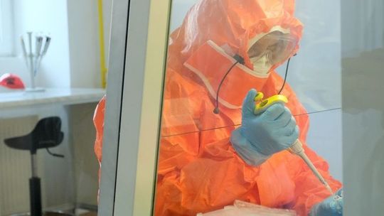 Chiny: Kolejna doba bez wykrycia nowych lokalnych zakażeń koronawirusem