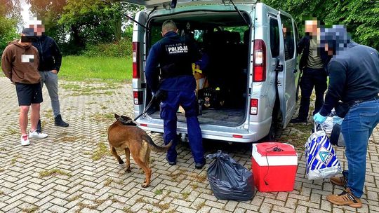 Chipsy, ciasteczka i żelki... nafaszerowane narkotykami. 28-latek ma kłopoty