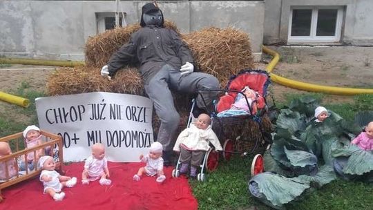 "Chłop już nie orze, 500+ mu dopomoże”. Oryginalna dekoracja dożynkowa