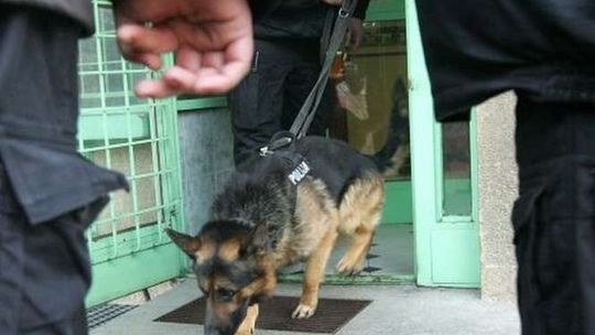 Chłopca szukało kilkadziesiąt osób, pies tropiący i straż graniczna. Schował się pod materacem