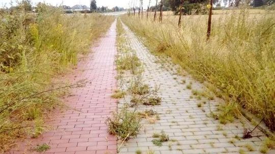 Chodnik i ścieżka rowerowa zarasta trawą. Drogowcy: ludzie zbyt rzadko jeżdżą i chodzą