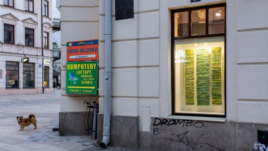 Chodnik, ściana, wystawa. 10 lat Otwartej Pracowni w Lublinie