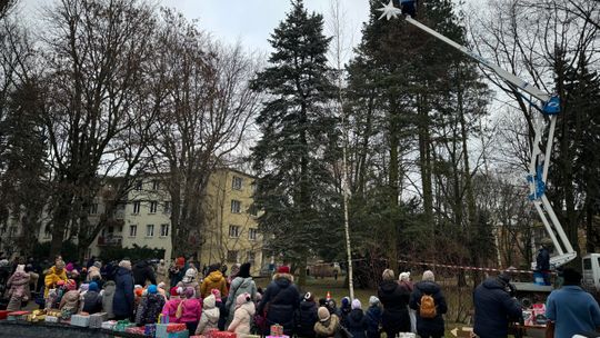 Choinka na LSM już udekorowana