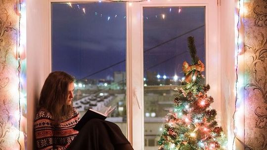 Choinka – obowiązkowo na święta – 3 rady, jak wybrać tę odpowiednią Choinka – obowiązkowo na święta – 3 rady, jak wybrać tę odpowiednią