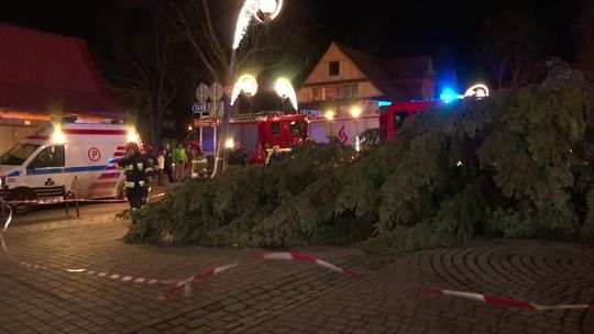 Choinka w Zakopanem przewróciła się na przechodniów. Jedna osoba trafiła do szpitala z otwartym złamaniem