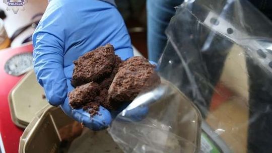 Choiny: Piekli ciasteczka z marihuany, 4 osoby zatrzymane (zdjęcia)