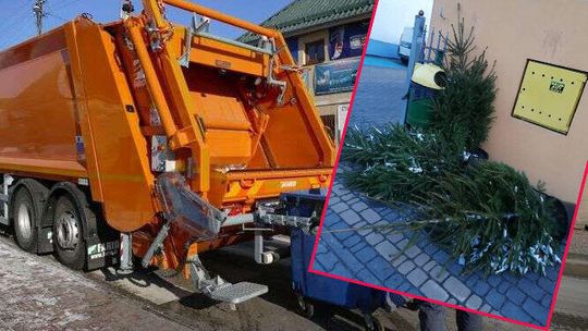 Chować choinki... Wystawił je tylko na chwilę i już nie było. Nie chcą oddać