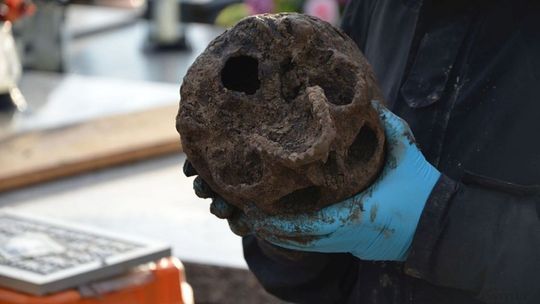 "Chowałem zabitych przy płocie". Były żołnierz AK, który grzebał ciała pomógł IPN-owi