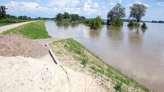 Chroniąc ptaki, narażają ludzi? Regulacja Wisły zablokowana