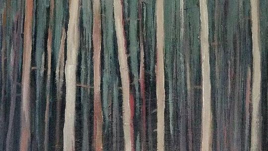 Chwała i Jasiński w DK LSM