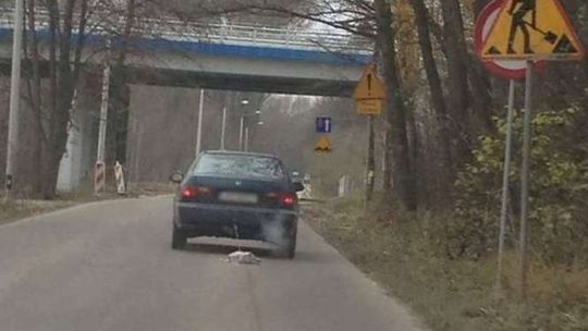 Ciagnął psa za samochodem. Tłumaczenia kierowcy nie wyjaśniły wątpliwości
