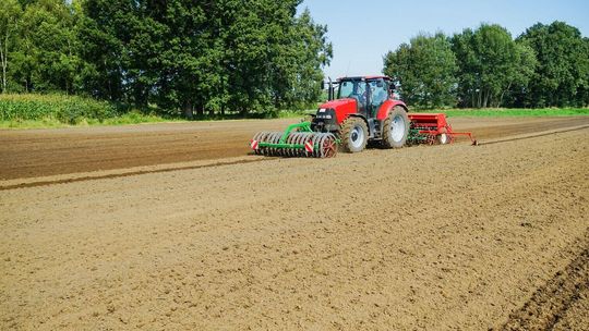 Ciągniki rolnicze Case Farmall – czym się wyróżniają i jakie modele są popularne na rynku wtórnym?