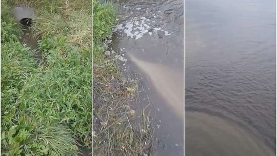 Ciemne ścieki z kanalizacji burzowej prosto do jeziora Firlej. Kary nie będzie