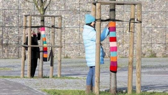 Ciepła zmiana w mieście. Kolejne drzewa w szalikach