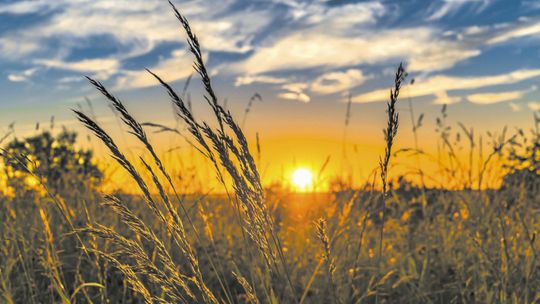 Ciepło, cieplej, gorąco. W lipcu najcieplej było we Włodawie