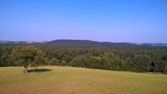 Ciepło, coraz cieplej. Tak zmienia się klimat na Roztoczu