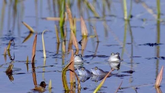 Ciepły, ale deszczowy tydzień. Dzisiaj nawet 23 stopnie