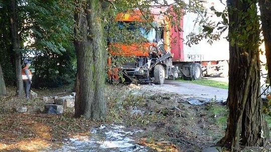Ciężarówka wjechała do parku. Kierowca zasłabł