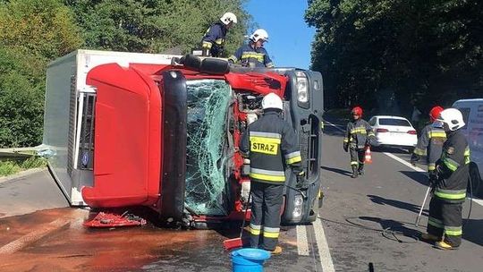 Ciężarówka zderzyła się z łosiem. Przewróciła się na bok