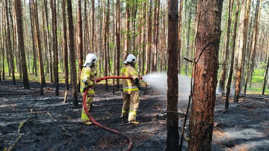 Ciężki czas dla strażaków. Potrzebny był samolot gaśniczy