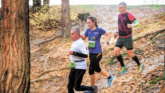 City Trail z Nationale-Nederlanden. Startują po raz siódmy