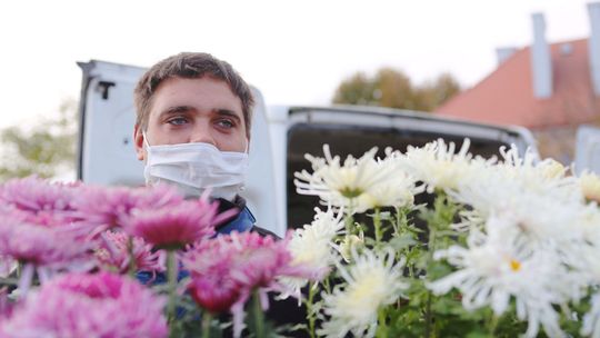 Cmentarze zamknięte. Sprzedawcy chryzantem chwytają sie każdej szansy