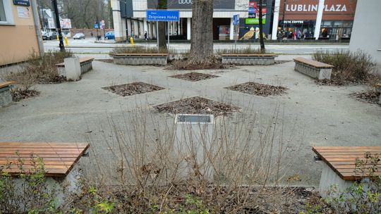 Co chcecie zazielenić?