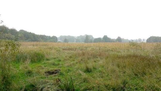 Co dalej z budową zalewu w Piaskach? 