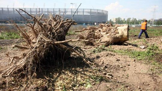 Co dalej z Parkiem Ludowym? RDOŚ czeka na wyjaśnienia urzędu