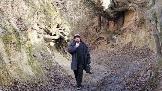 Co dalej z pomysłem wybrukowania wąwozu korzeniowego?