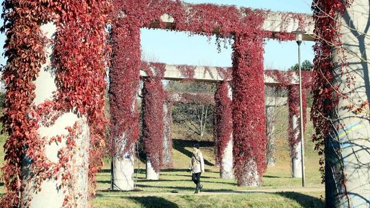 Co dalej z porośniętymi bluszczem filarami przy Filaretów? Potrzeba "dyskusji społecznej"