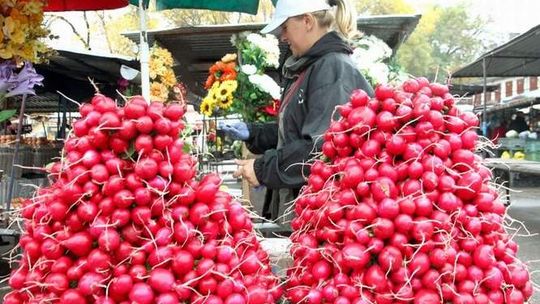 Co i jak na targu? Spotkanie handlarzy w Kraśniku