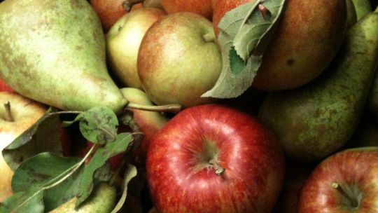 Co i za ile? Ceny na giełdzie w Elizówce