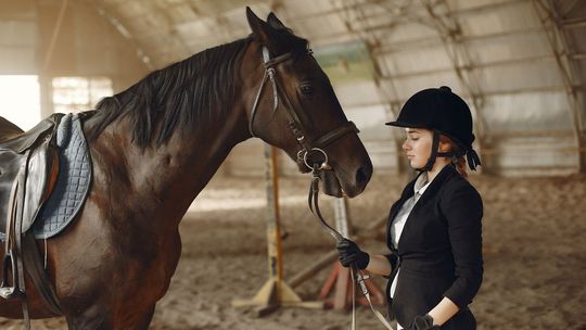 Co jest potrzebne do lonżowania?