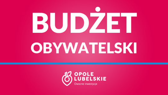 Co można zrobić za 100 tys. zł? Mieszkańcy Opola Lubelskiego zdecydują