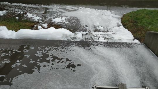 Co popłynęło do Bystrzycy? Będą sprawdzać skąd wzięła się piana