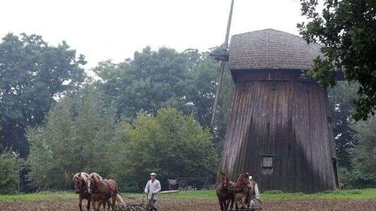 Co przed laty działo się jesienią na polu? Pokaz w skansenie