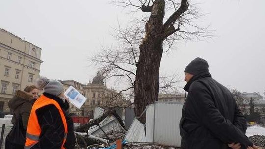 Co w miejsce Baobabu? Maszt z państwową flagą, może drzewo?