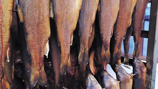 Co w stawie piszczy, czyli kilka słów o karpiu z Pustelni