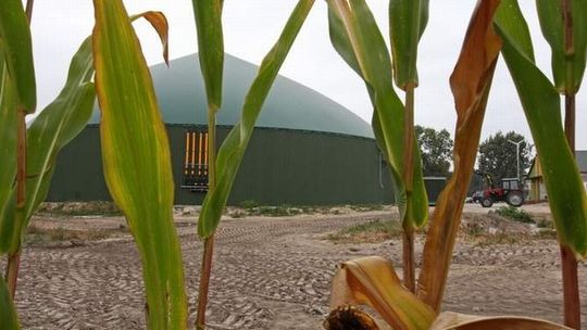 Co z budową bioelektrowni w Kraśniku? Radni chcą sprawdzić zapach