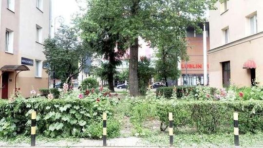 Co z budową nowych skwerów w Lublinie? W żadnym z pięciu miejsc nie zaczęły się prace