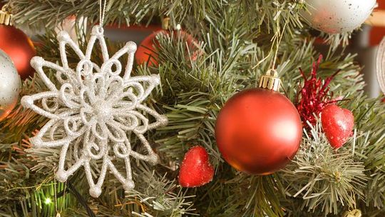 Co zrobić z choinką po świętach