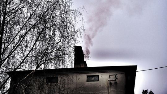 Co zrobić żeby zdrowiej się oddychało w Lublinie i regionie? Urzędnicy pytają mieszkańców