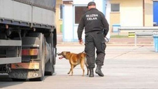 Coraz dłuższe kolejki na granicach Polski z Ukrainą i Białorusią