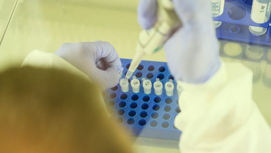 Coraz poważniejsza sytuacja. Ptasia grypa atakuje w kolejnych miejscach w woj. lubelskim