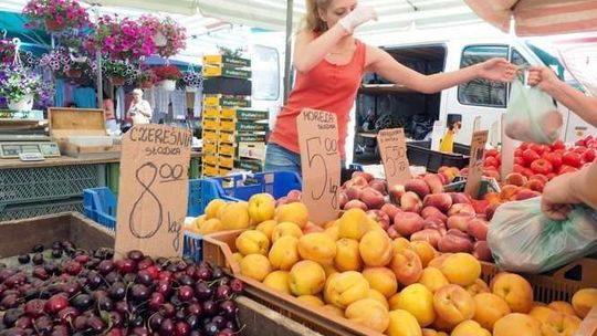 Coraz trudniejsze czasy dla owoców z Polski. Są powody do zmartwienia