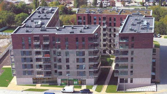 Coraz więcej młodych Polaków "idzie na swoje"