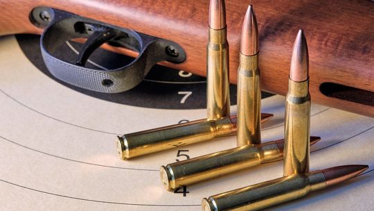 Coraz więcej Polaków szuka aktywności, która uczy odpowiedzialności — co ich przyciąga?