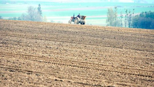 Coraz więcej rolników kupuje ziemię od ANR