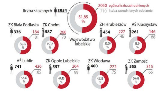 Coraz więcej skazanych zarabia. W Lubelskiem pracuje ponad połowa więźniów
